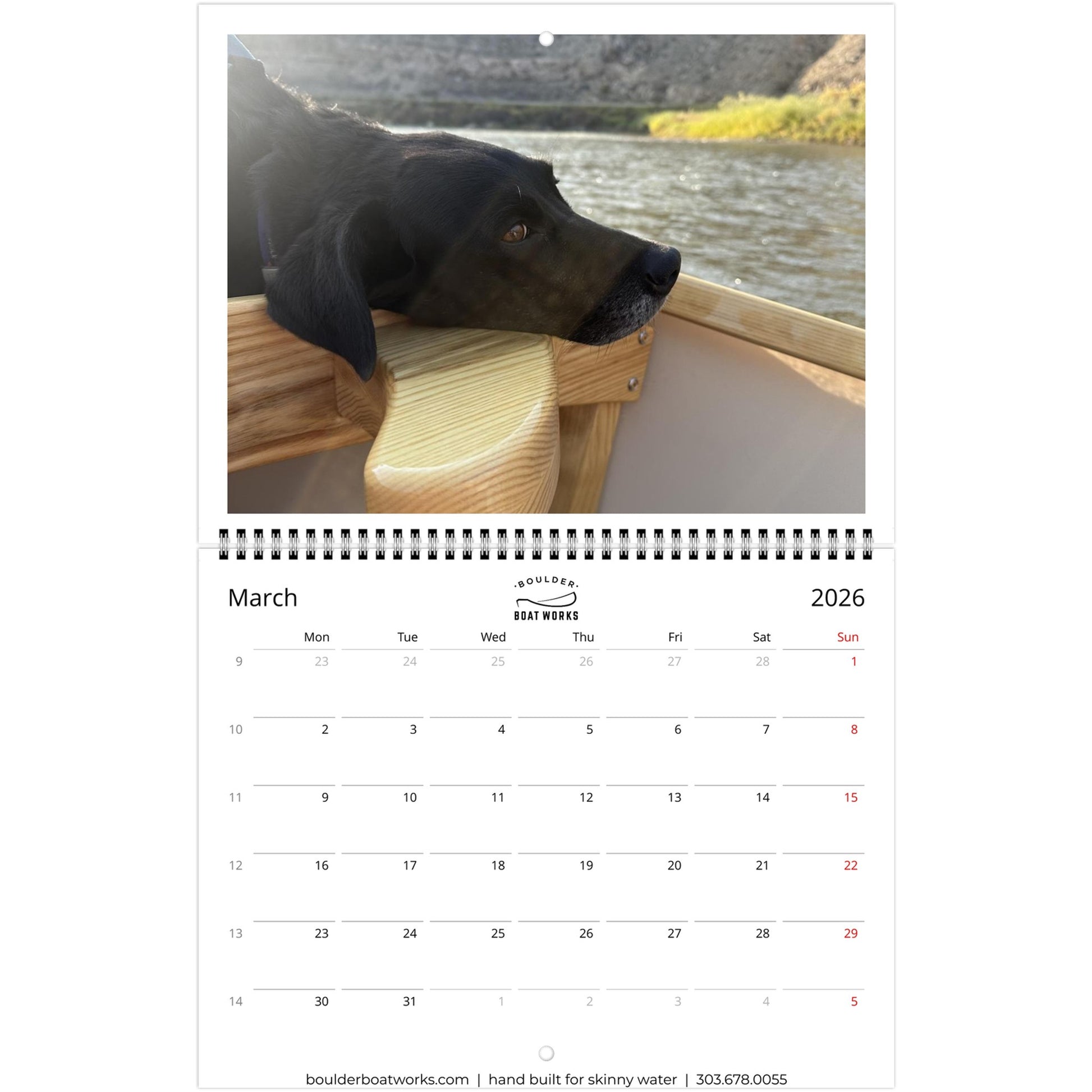 bfe2ae23-29ca-4803-bfd1-568c22ffb26c