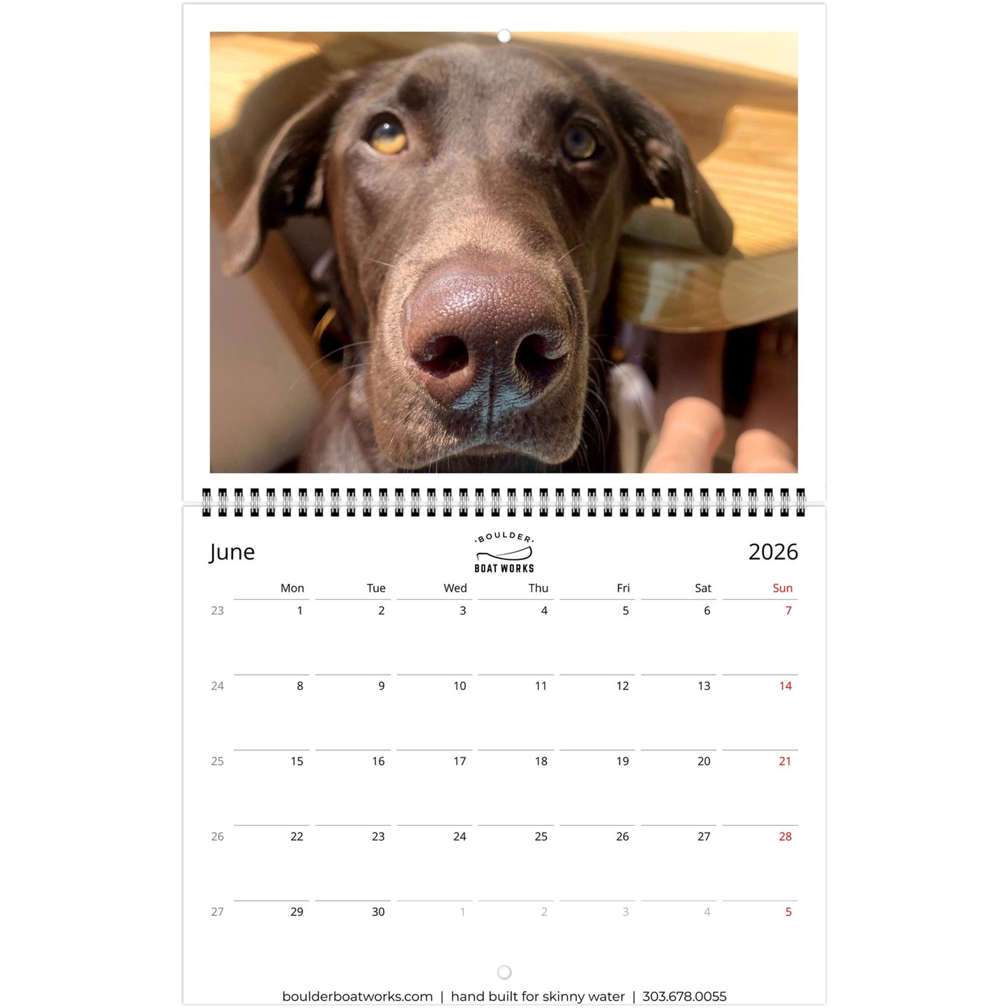 e005732d-5301-4d03-a6f4-38e6a41b48e1